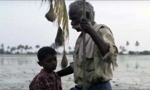 കുട്ടപ്പായിയും വല്യപ്പച്ചനും